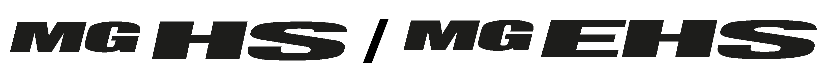 MG HS a EHS Logo